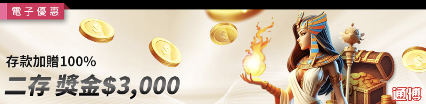 電子限定二存100%